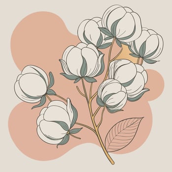 An intricate botanical illustration of white cotton flowers with green leaves on a warm beige backdrop evoking a sense of purity and simplicity vector