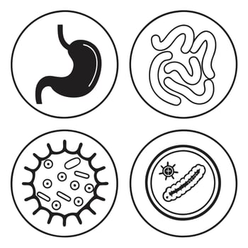 Editable Stroke Digestive System Icons Set vector