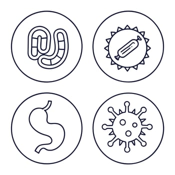 Digestion and Gut Health Icon Collection vector
