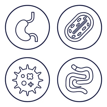 Stomach, Intestine, and Probiotics Line Icons Set vector