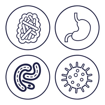 Digestion and Intestine Outline Icons Set vector