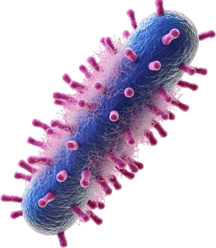 Detailed microscopic view of a bacterial cell, highlighting its complex structure and features on a dark backdrop. Scientific visualization. png