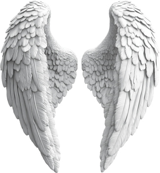 Majestic white wings. The light reflects off the delicate feathers, creating a ethereal and beautiful scene. Art and fantasy elements. png