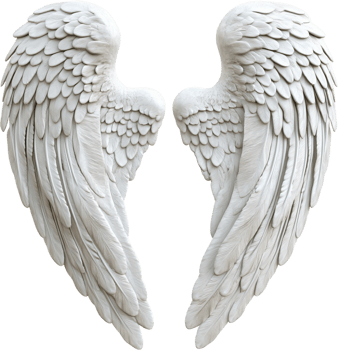 Pair of ornate, white wings suggestive of angelic form or flight. Detailed feathering and gentle curves evoke a sense of lightness. png