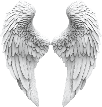 Elegant, spread wings shimmer with ethereal beauty, each feather a testament to graceful design, evoking a sense of freedom and divine inspiration. png