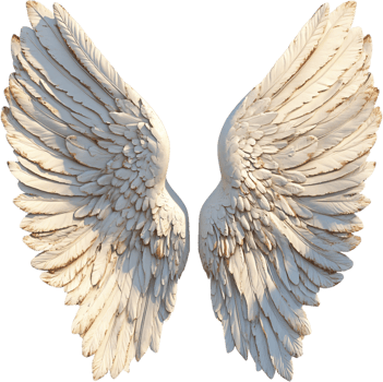 Majestic sculpted wings spread wide, their intricate feather details bathed in soft light, evoke a sense of grandeur and ethereal beauty. png