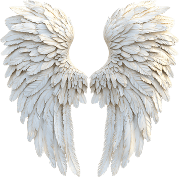 Elegant white wings, a symbol of freedom and ethereal beauty, with delicately crafted feathers creating a heavenly, angelic appearance. png