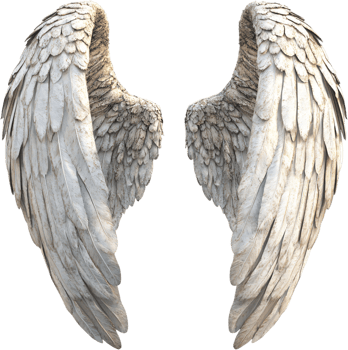 Feathered wings spread wide, showcasing a sense of freedom and transcendence against a dark backdrop, a symbol of angelic grace. png