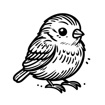 Detailed Bird Illustration png