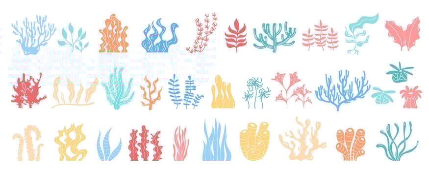 Underwater reef and marine plants set in vibrant colors. Varied sea flora like kelp, algae, seaweed with design elements. Beautiful aquatic life icons in cartoon graphic style. vector