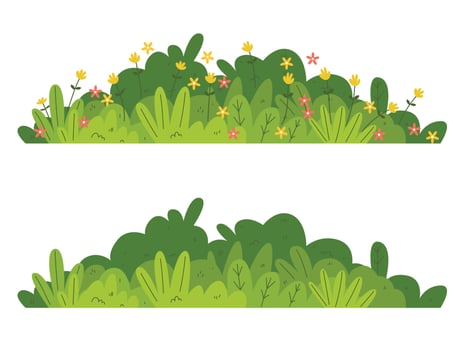 Grass bush, ggreen bush blossom, shrubs during flowering and non flowering seasons vector