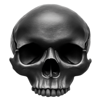 Realistic Black Skull Model with Detailed Texture and Shadows png