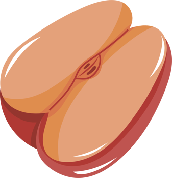 Illustration of a Slice of Fresh Red Apple png