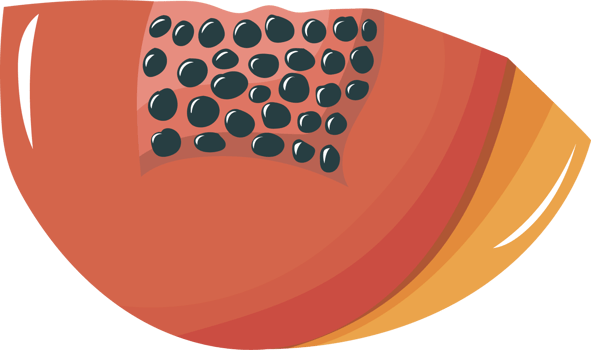 Illustration of Sliced Papaya Fruit png