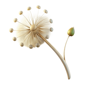 vibrant creative magnificent minimalist A single dandelion seed head with seeds blowing in the wind, soft diffused light, whimsical style high quality authentic png
