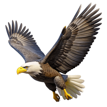 serene traditional magnificent contemporary A majestic bald eagle soaring through the sky, bright sunlight, realistic style exclusive genuine png