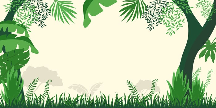 jungle background with green plants and trees vector