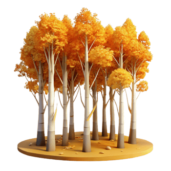extraordinary traditional wonderful classic A grove of aspen trees in autumn, golden leaves, warm sunlight, landscape photography style high resolution authentic png