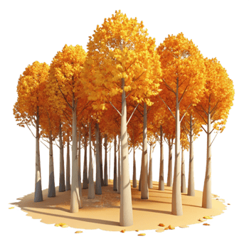 beautiful abstract stunning rustic A grove of aspen trees in autumn, golden leaves, warm sunlight, landscape photography style 4K 4K png