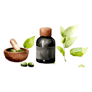 Herbal Extract Bottle with Olive Leaves and Mortar in Natural Setting png