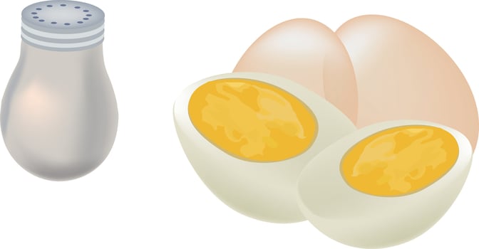 An egg and a salt shaker are shown vector