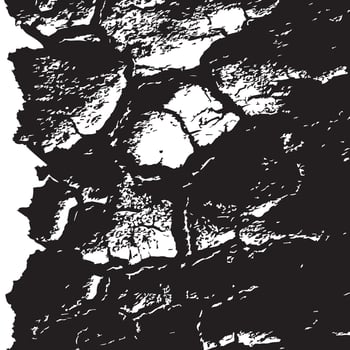 Old Paper Texture with Torn Edges vector