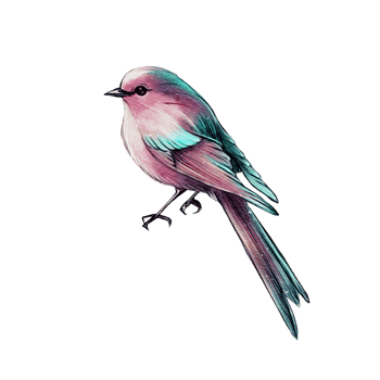 Realistic watercolor illustration of a bird with pink and turquoise shades. Elegant feathered silhouette, perfect for design, greeting cards, and textiles png