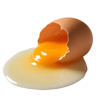 An egg is broken in half on a black background png