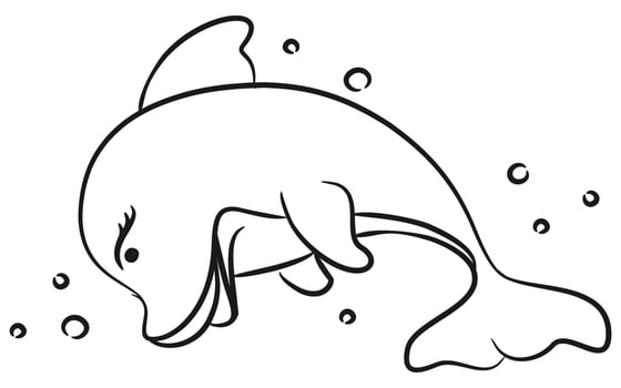 Hand Drawing Illustration Beauty Dolphin vector