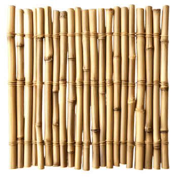 Natural Bamboo Wall Surface On Transparent Background png