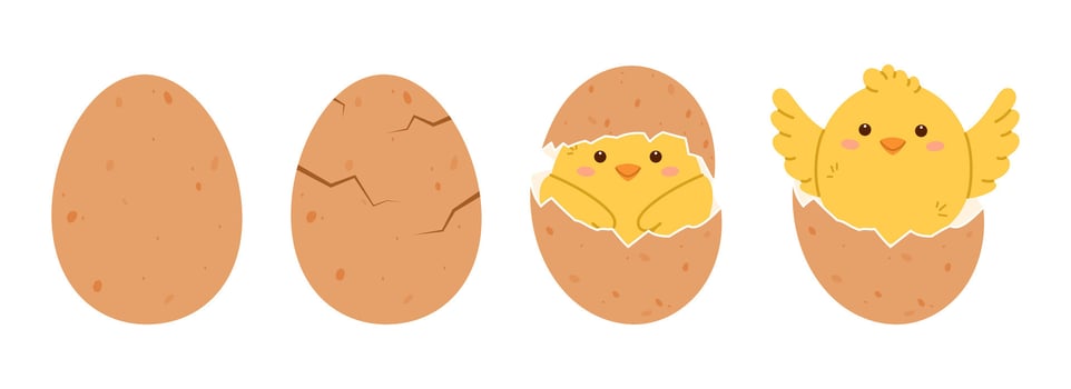 Chicken hatching from egg. Cute yellow chick cracking eggshell. Flat isolated illustration vector