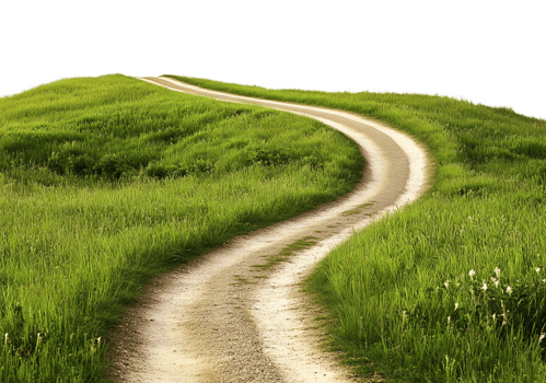 Grassy Curve Road Pathway Isolated on Transparent Background png