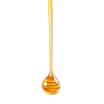 Sun-Kissed Honey Trickling from a Wooden Drizzler in Smooth Strands png