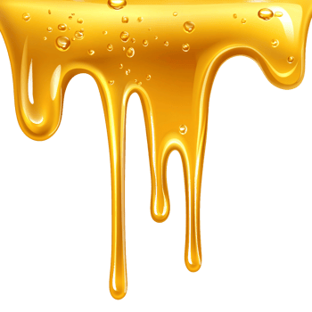 Raw Honey Dripping in Thick Strands png