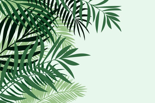 Background with palm leaves in green tones. Summer frame with space for text. vector