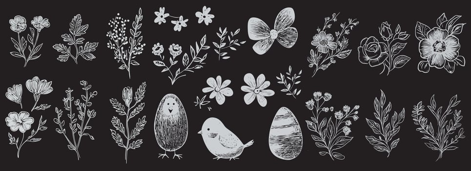 A collection of hand drawn flowers and birds vector