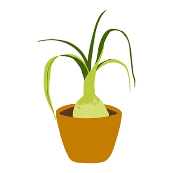 Indoor potted plant pregnant onion illustration vector