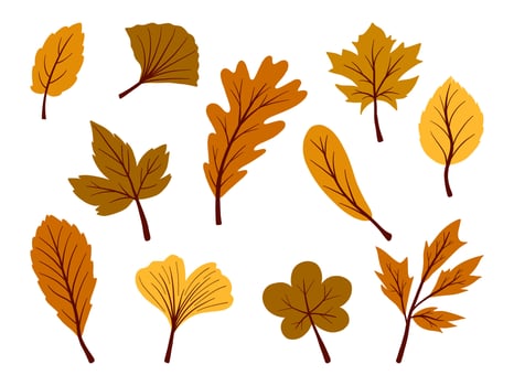 Autumn Aesthetic Warm Toned Leaves. A collection of warm-toned autumn leaves in various shapes and styles, featuring rich earthy colors. Perfect for nature-inspired projects, and fall-themed vector
