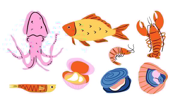 Hand Drawn Marine Life Set. A vibrant collection of hand-drawn marine life illustrations. Ideal for ocean-themed projects, seafood designs, and educational materials vector