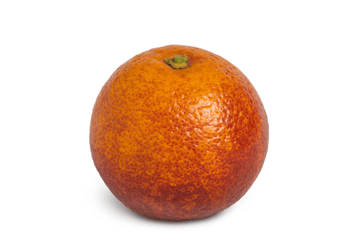 Blood ripe orange isolated with shadow. Full depth of field png