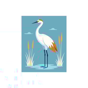 Soaring Elegance A Whooping Crane Above the Marsh vector