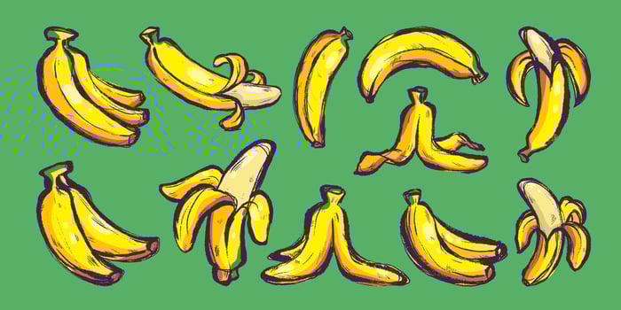 Hand Drawn Delicious Banana Fruits. Colorful grunge abstract bananas with bold outline and texture. Clipart juicy food in doodle style vector