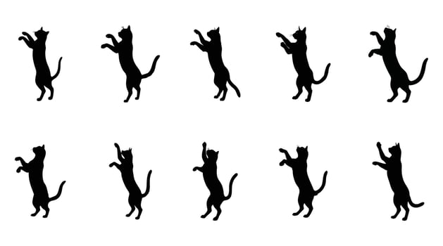 Jumping Cat Silhouettes Icon Set - Playful Kitten Illustration vector