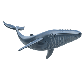 A three dimensional model of a blue whale swimming. Isolated on Transparent Background png