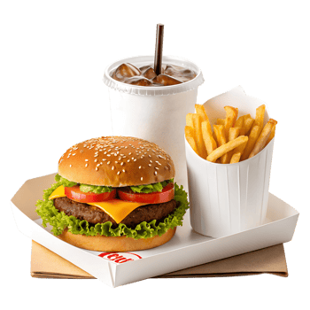 A hamburger and french fries on a tray png
