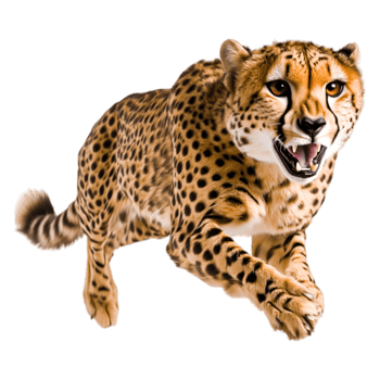 Cheetah in Motion with Intense Expression Captured in closeup png