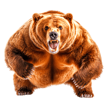 Fierce Brown Bear Roaring in Forest Setting with Intense Expression png
