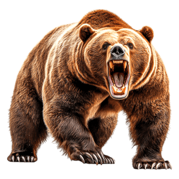 Powerful Roaring Bear with Sharp Claws in a Dramatic Pose png