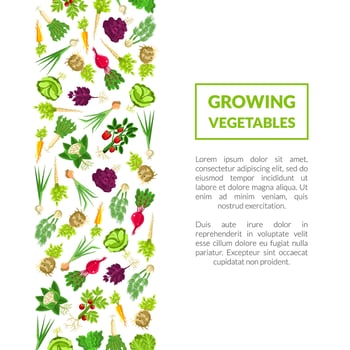 Postcard with the text of the vegetables grown. illustration on a white background. vector