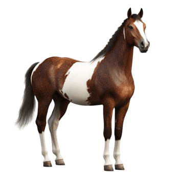 Brown Horse Standing Tall with Elegant Pose png